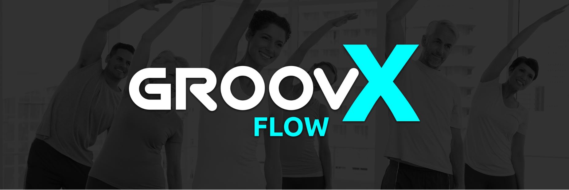 Groovx flow logo web