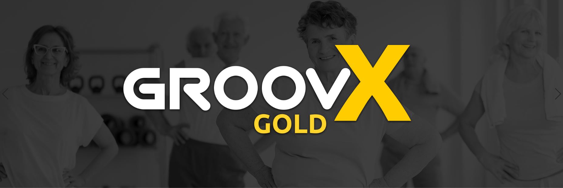 groovX Gold Logo web